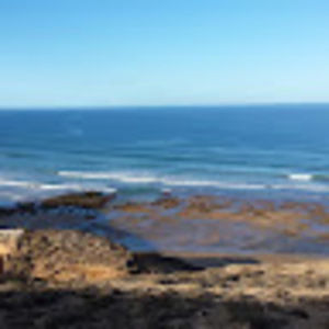 Meet your Posher, Shawna